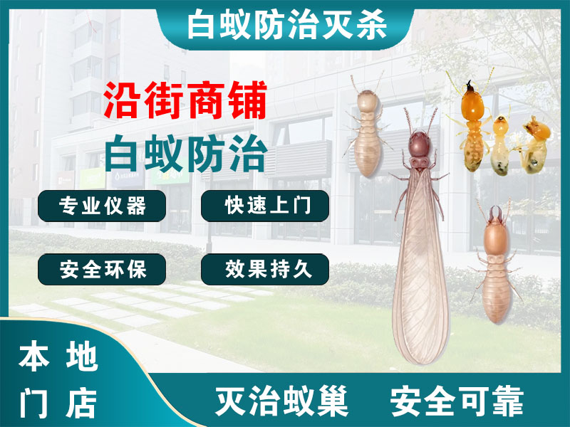 洪泽沿街商铺白蚁防治