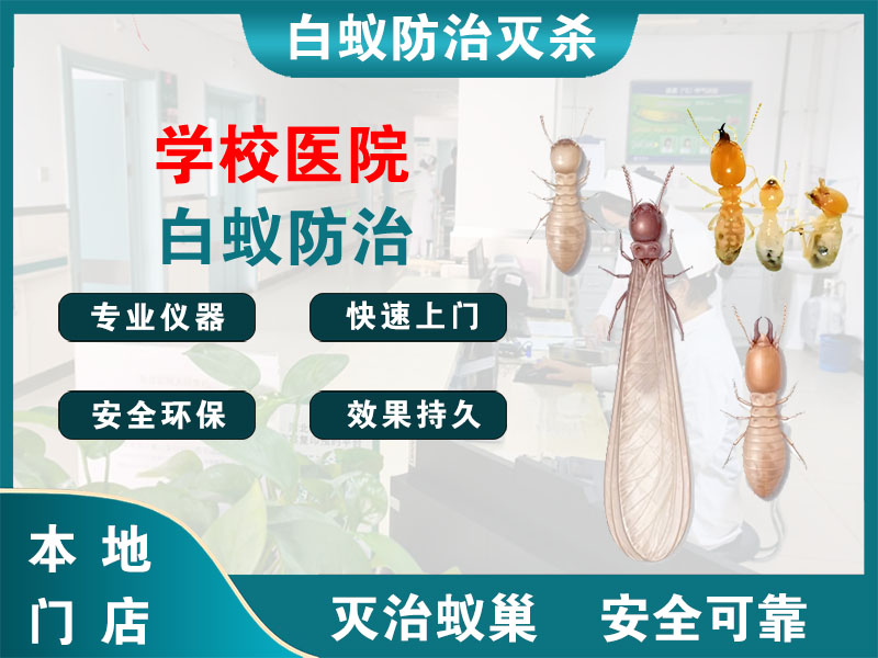 洪泽学校医院白蚁防治