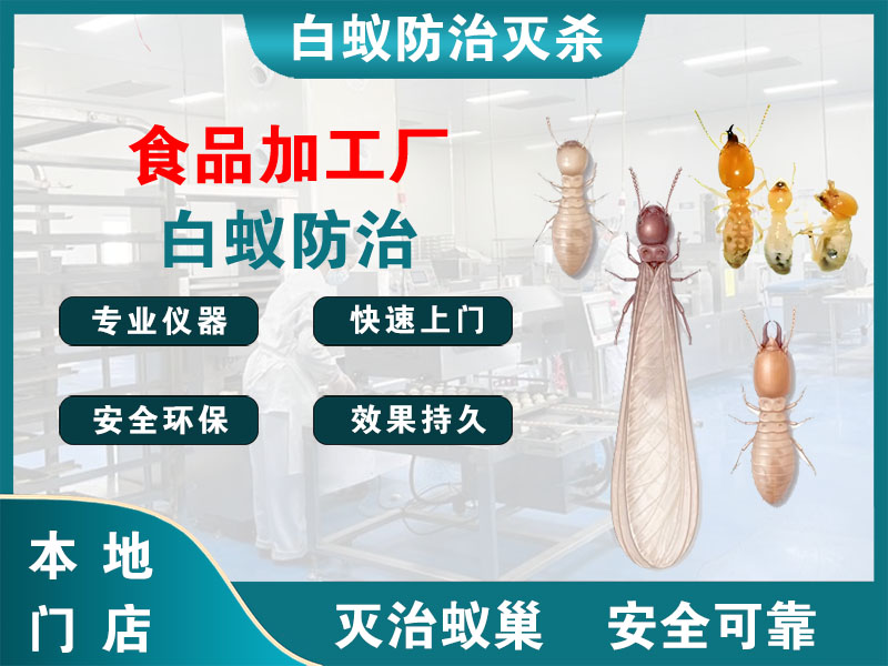 洪泽食品加工厂白蚁防治