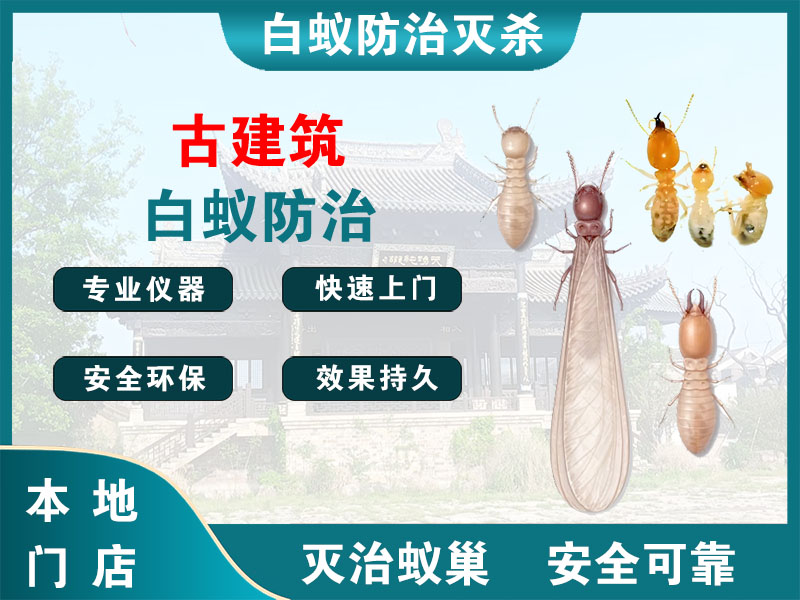 洪泽古建筑白蚁防治